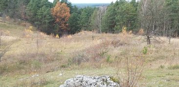 Parki i ogrody ziemi wieluńskiej - Załęczański Park Krajobrazowy - jeden z najpiękniejszych parków w Polsce, bo otulający zakole Warty